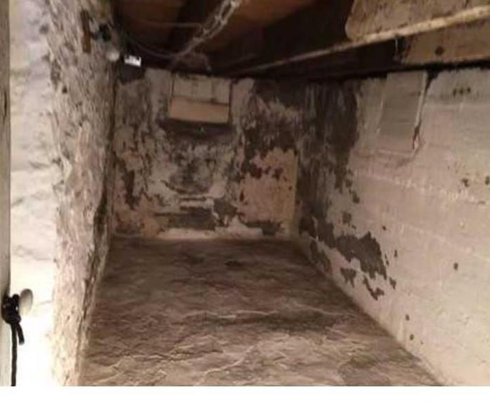 Mold in residential home 