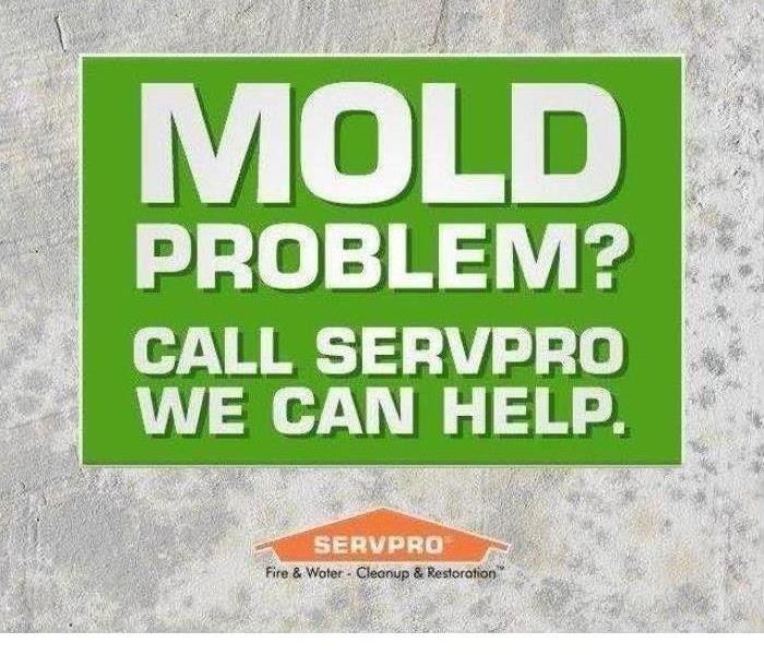 Mold quote 